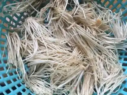 Make Pepper salt garlic root shaving step 1