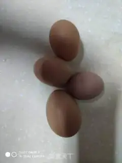 Make Old-fashioned chicken cake step 0
