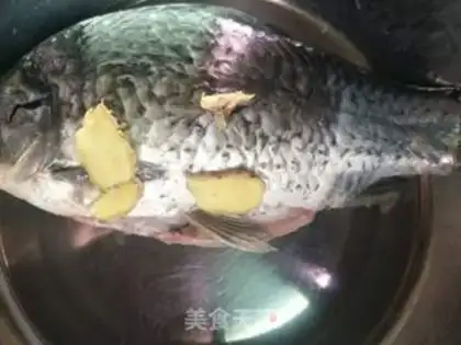 Make Slutfish step 0