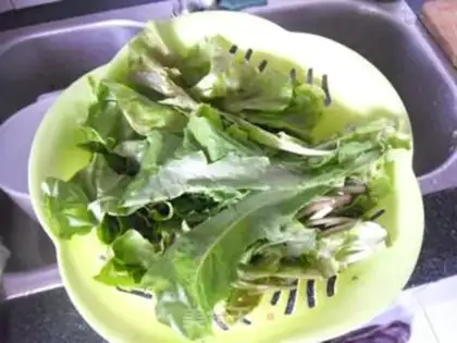 Make - Juicy lettuce step 0