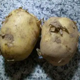 Make The Onion Potato Corps step 2