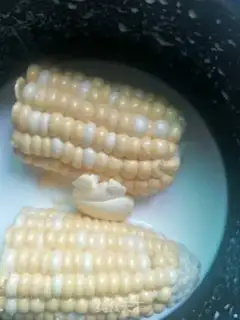 Make Milky corn bar step 2