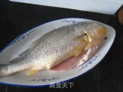 Make Big yellow fish step 0