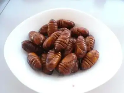 Make Spicy silk step 1