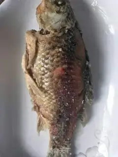 Make Jealousy fish step 6