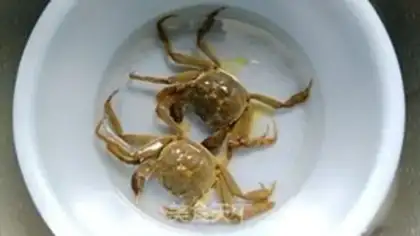 Make Crabs and porridge step 2