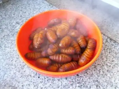 Make Dry ricin step 2
