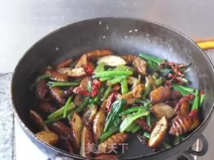 Make Dry ricin step 11