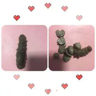 Make Mi cucumber step 4