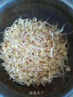 Make Tofu sprouts step 1