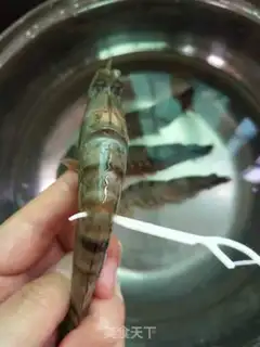 Make Shrimp step 2