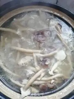 Make Tea, mushroom, bone soup step 5