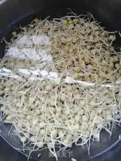 Make Peas sprouts of fried meat step 0