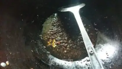 Make Plum chow step 16