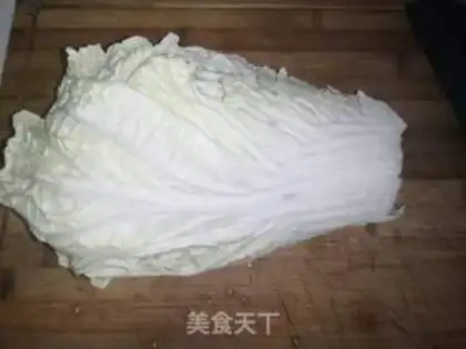 Make Pelican cabbage step 0