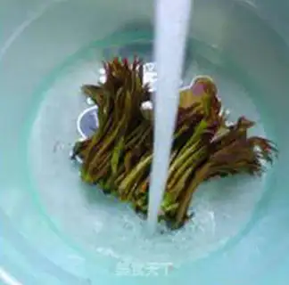 Make Sprouts and dry step 2