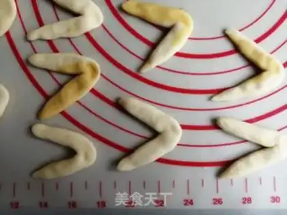 Make Goldfish step 3