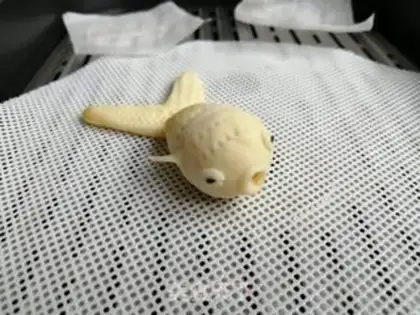 Make Goldfish step 7