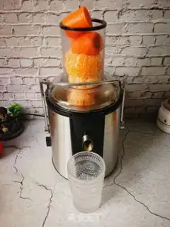Make Ugly orange carrot juice step 3