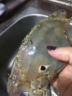 Make Crab onions step 0