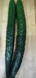 Make Spicy cucumber rolls step 0