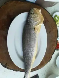 Make Red-burned yellow fish step 0