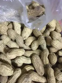 Make The peanuts mixed up their chrysanthemums step 0