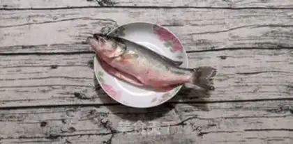 Make Vacuate herring step 0