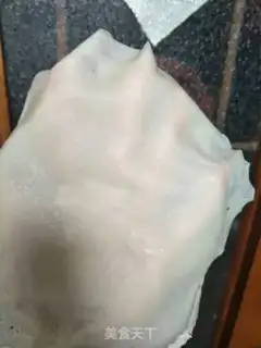 Make Spring rolls step 11