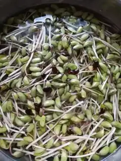 Make Black bean sprouts step 0