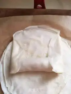 Make Spring rolls step 14