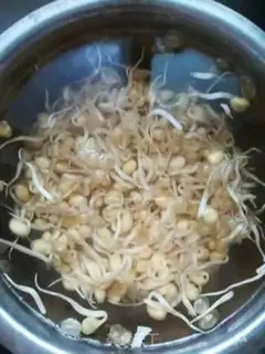 Make Sprayed double sprouts step 1