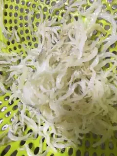 Make Silverfish steamed eggs step 0