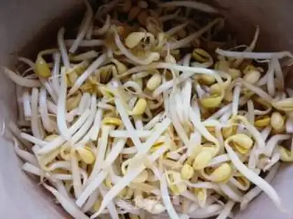 Make ♪ ♪ The chrysanthemum ♪ step 3