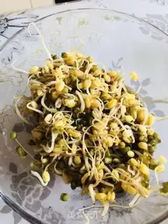 Make The green bean sprouts step 2