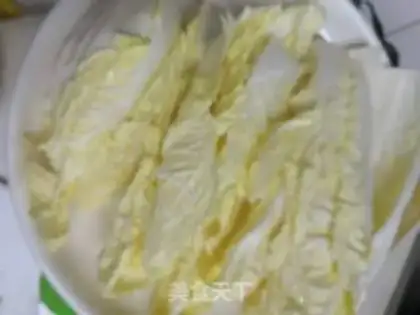 Make Cook the cabbage step 0