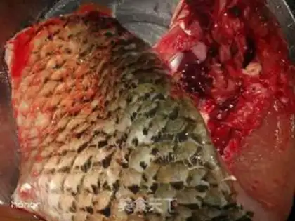 Make Cricket fried fish step 0