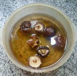 Make Money mushroom sprouts step 1