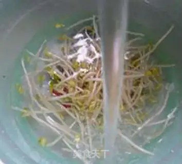 Make Money mushroom sprouts step 4