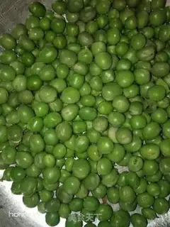 Make Taste the beans step 1