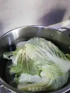 Make Clean up the lion