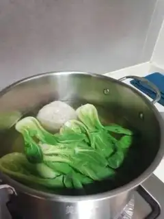 Make Clean up the lion