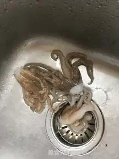 Make Ginger-sniff step 2