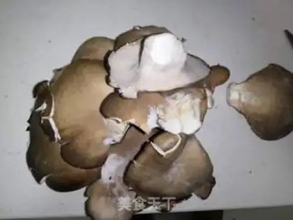 Make Fried mushrooms step 1