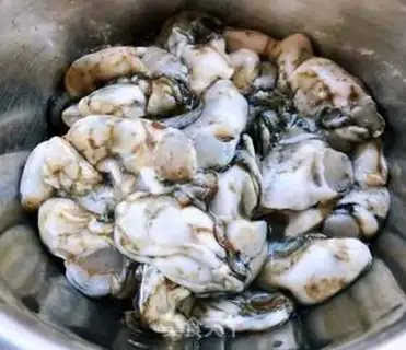 Make Water mixed with pelicans step 0