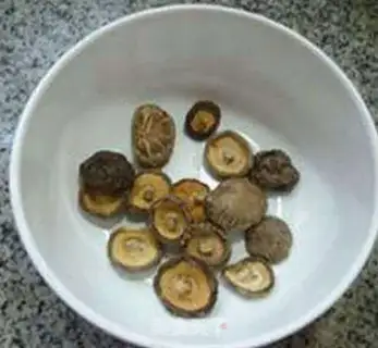 Make Money mushrooms step 2