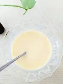 Make Homemade yogurt step 8
