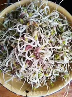 Make Jealousy and dumb bean sprouts step 1