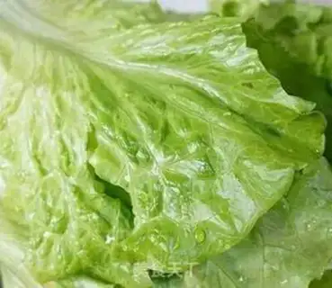 Make Feeding of raw vegetables step 2