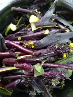 Make The veggie moss step 2